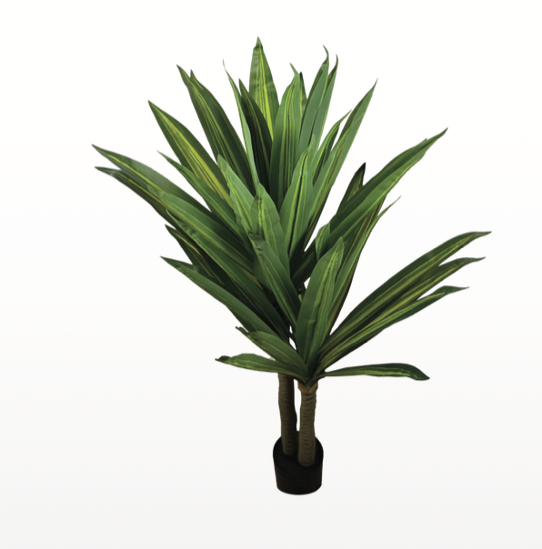 green big leaf
